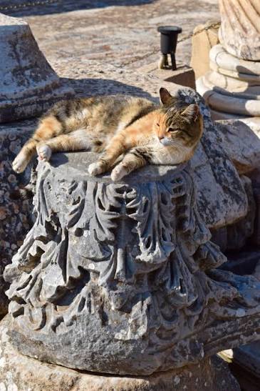 Calico cat resting on a carved Corinthian capital in Ephesus