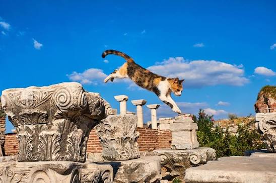 Calico cat leaping between carved Corinthian capitals under a deep blue sky near Ephesus