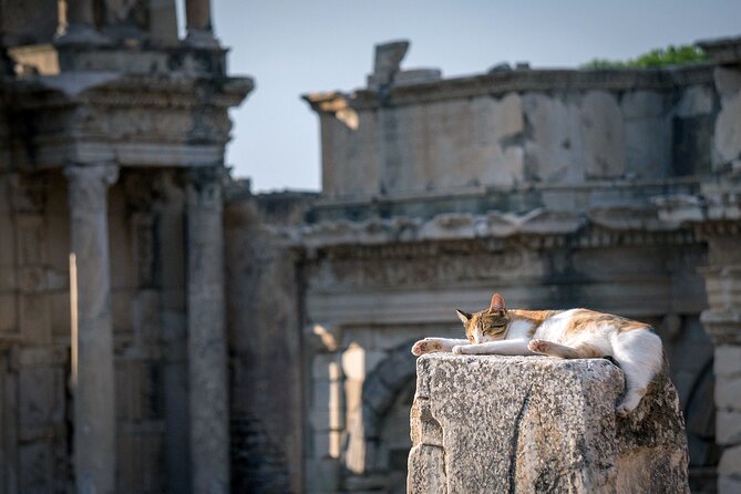 Calico cat napping on top of a stone pillar in Ephesus