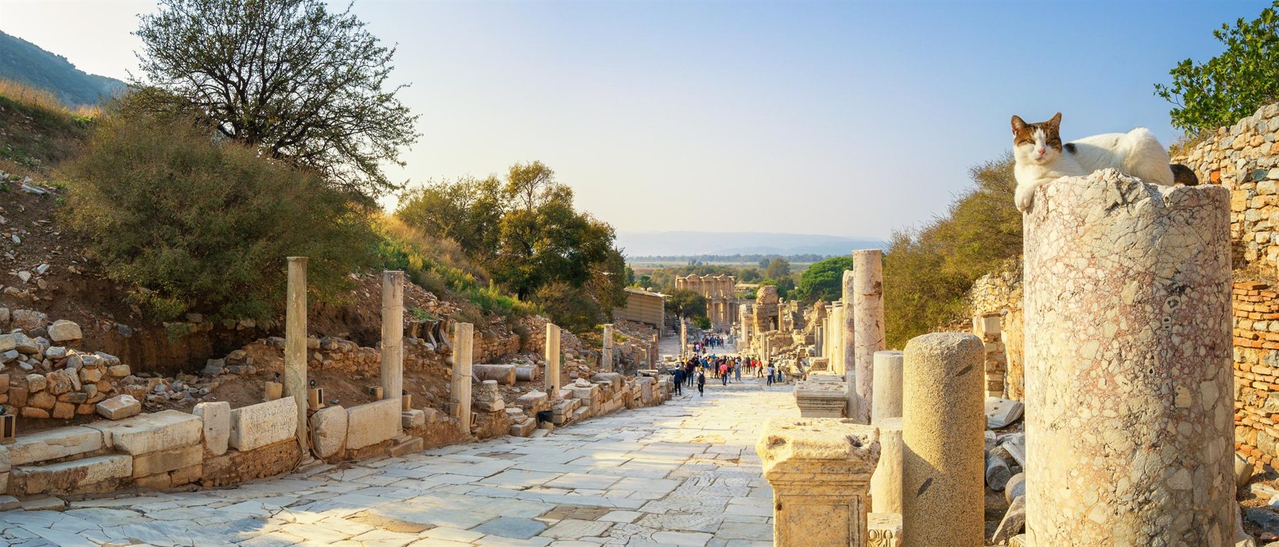 Panorama of Curetes Street in Ephesus with a cat lounging on a marble column watching the visitors