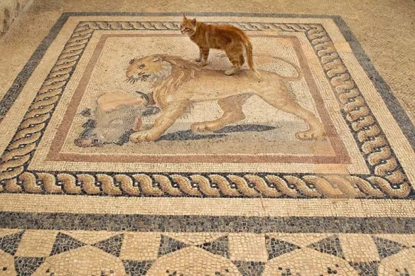 Ginger cat standing on an ancient Roman lion mosaic floor